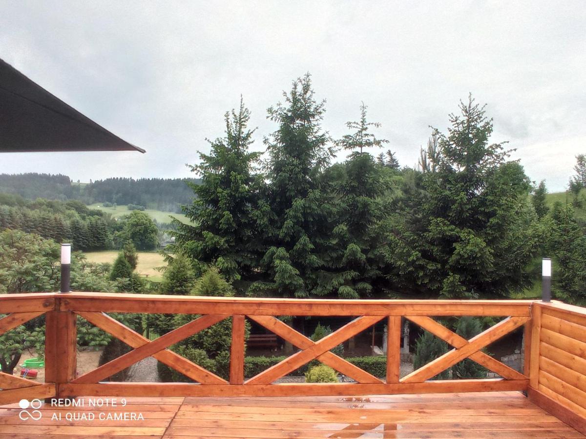 Apartamenty Sowianka Ludwikowice Klodzkie Экстерьер фото