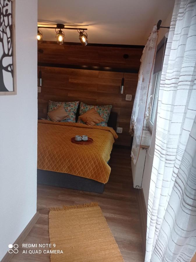Apartamenty Sowianka Ludwikowice Klodzkie Экстерьер фото