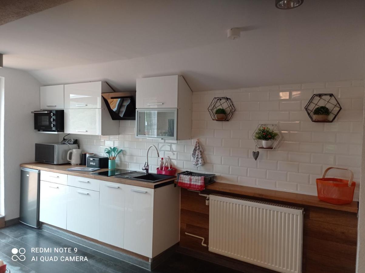 Apartamenty Sowianka Ludwikowice Klodzkie Экстерьер фото