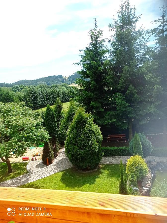 Apartamenty Sowianka Ludwikowice Klodzkie Экстерьер фото