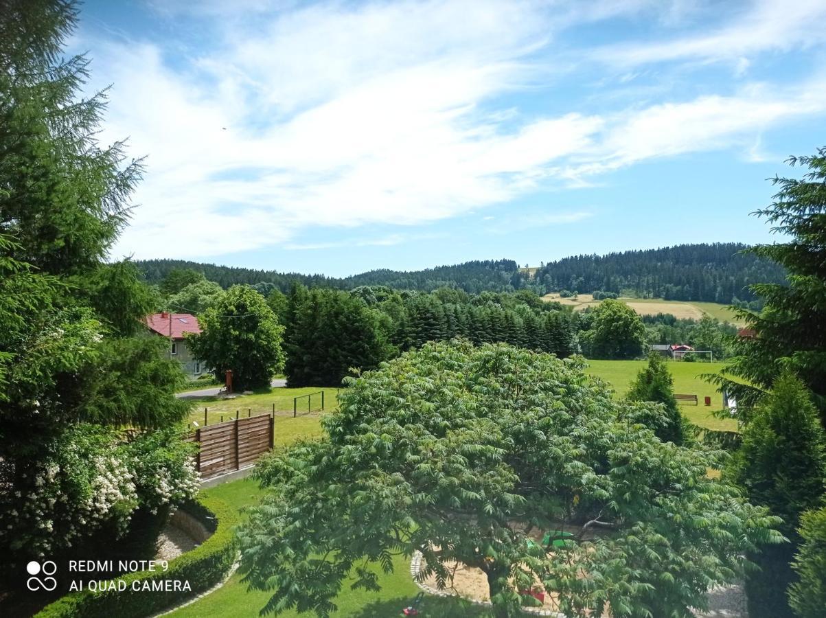 Apartamenty Sowianka Ludwikowice Klodzkie Экстерьер фото