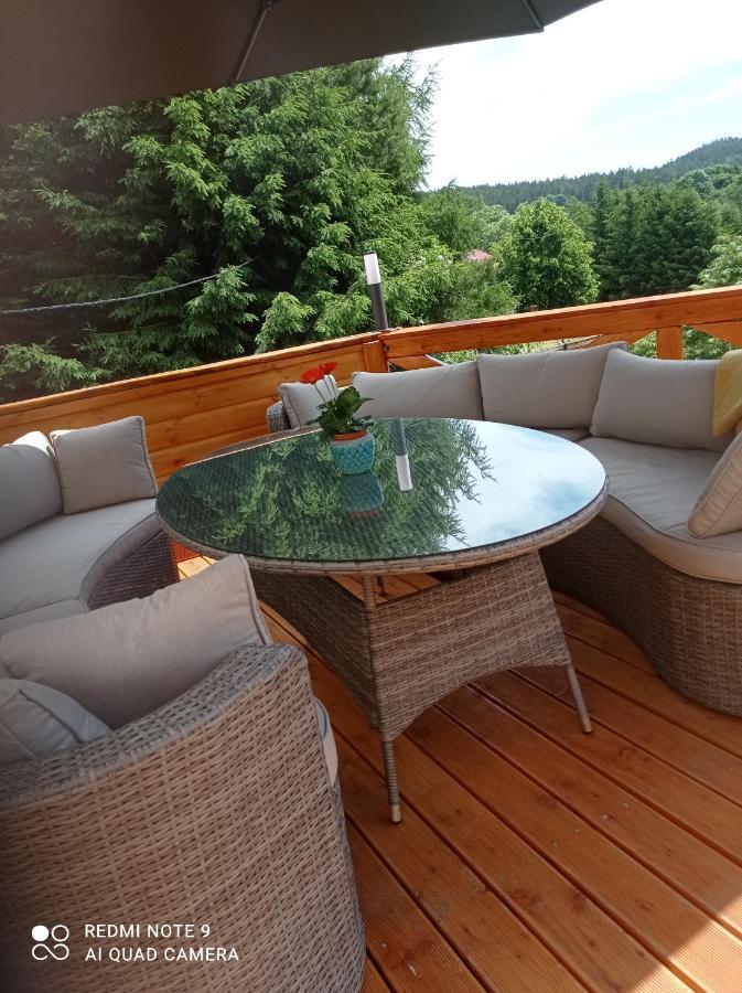 Apartamenty Sowianka Ludwikowice Klodzkie Экстерьер фото
