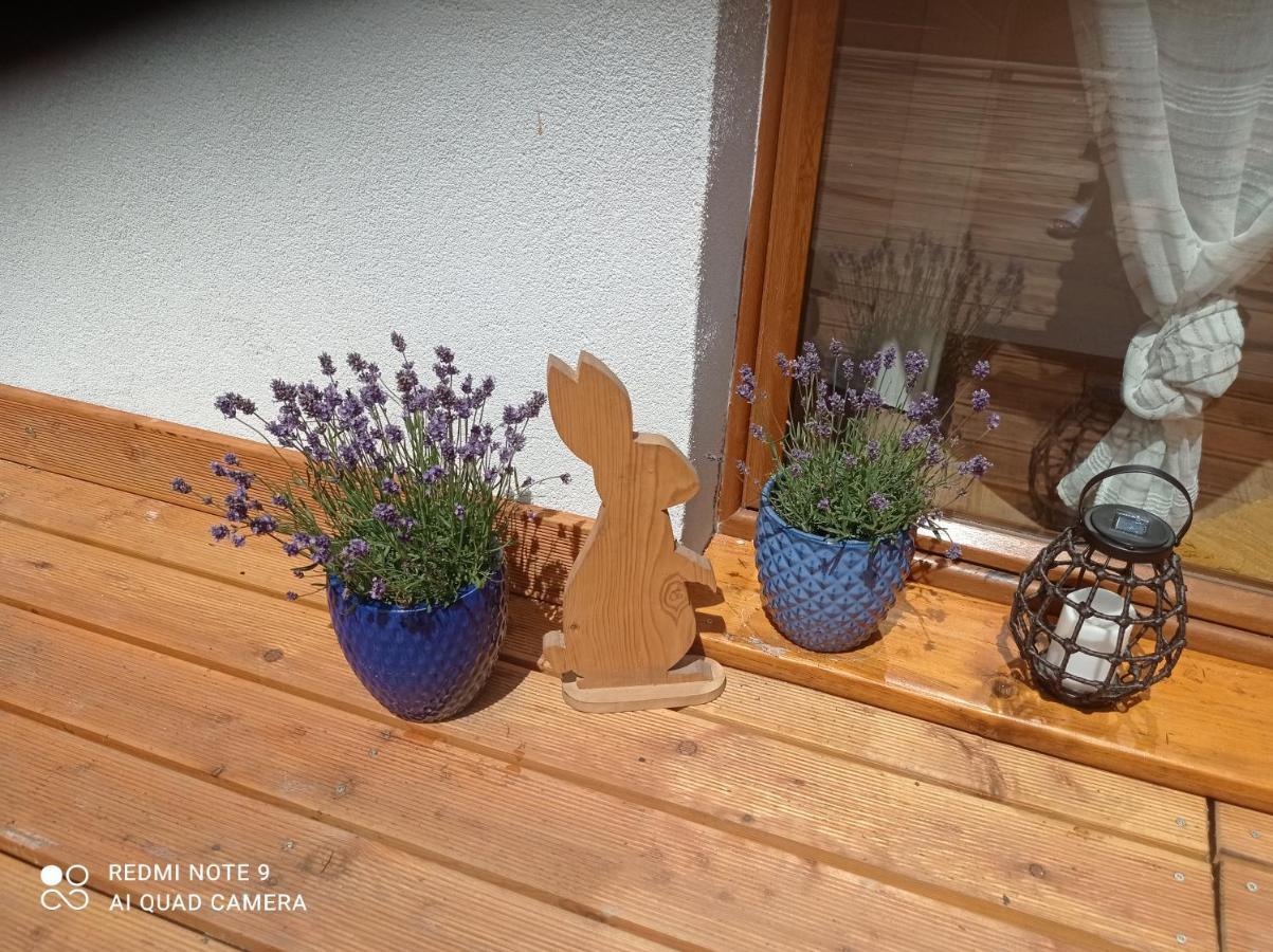 Apartamenty Sowianka Ludwikowice Klodzkie Экстерьер фото